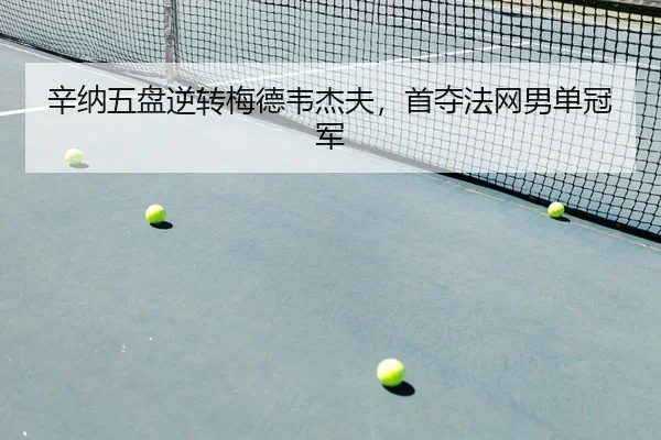 xin-na-wu-pan-ni-zhuan-mei-de-wei-jie-fu-shou-duo-fa-wang-nan-dan-guan-jun-2-214.jpg